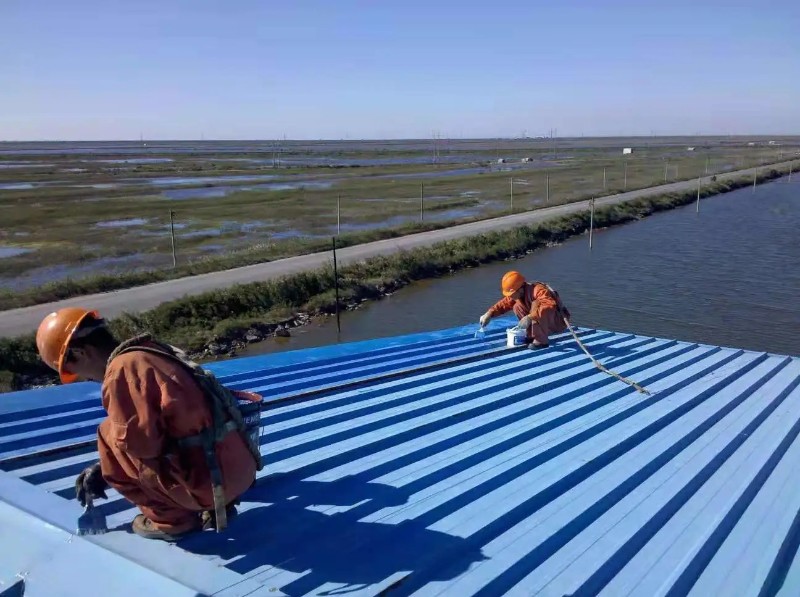 汝南彩钢瓦屋面防腐翻新